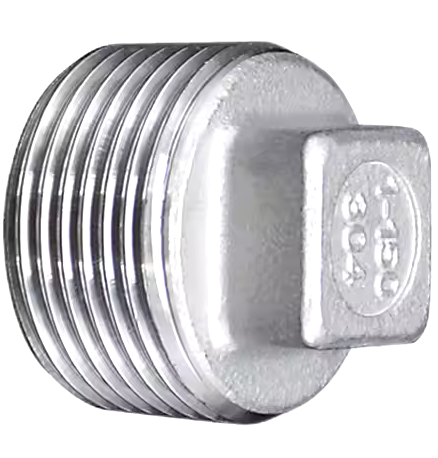 Square Head Plug, Stainless Steel. 1" BSPT