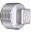 Square Head Plug, Stainless Steel, 2" BSPT